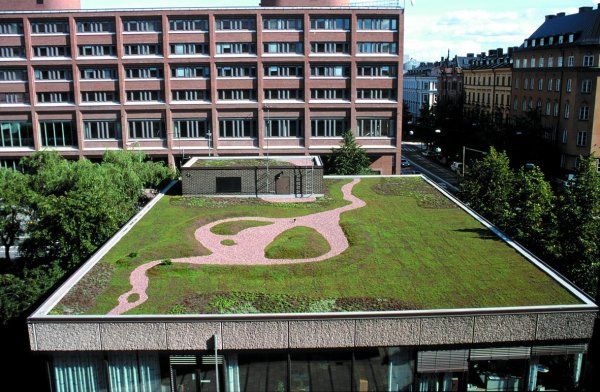 Izdelava zelene strehe